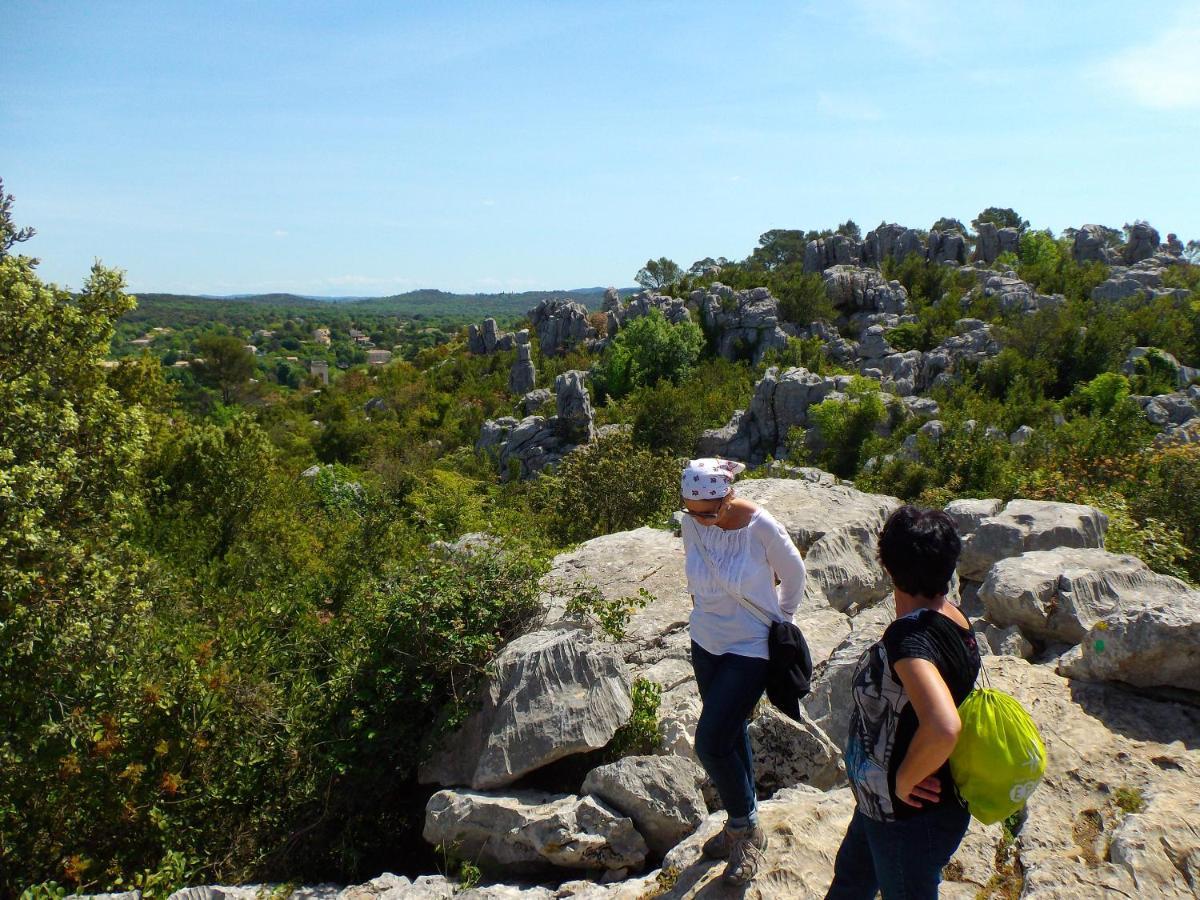 Bed and Breakfast Logis Des Magnans -Les Terrasses Du Coutach - Sauve Exterior foto